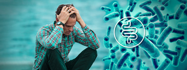 Gut Microbes May Play a Role in Mental Health, Study Finds
