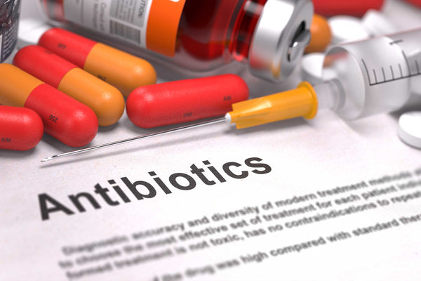Antibiotic and postbiotics