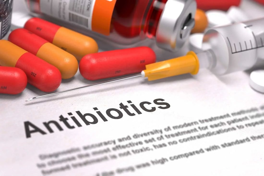 Antibiotic resistance and postbiotics