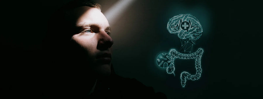 Scientific illustration of gut microbiota and the gut-brain axis in relation to migraine pathophysiology