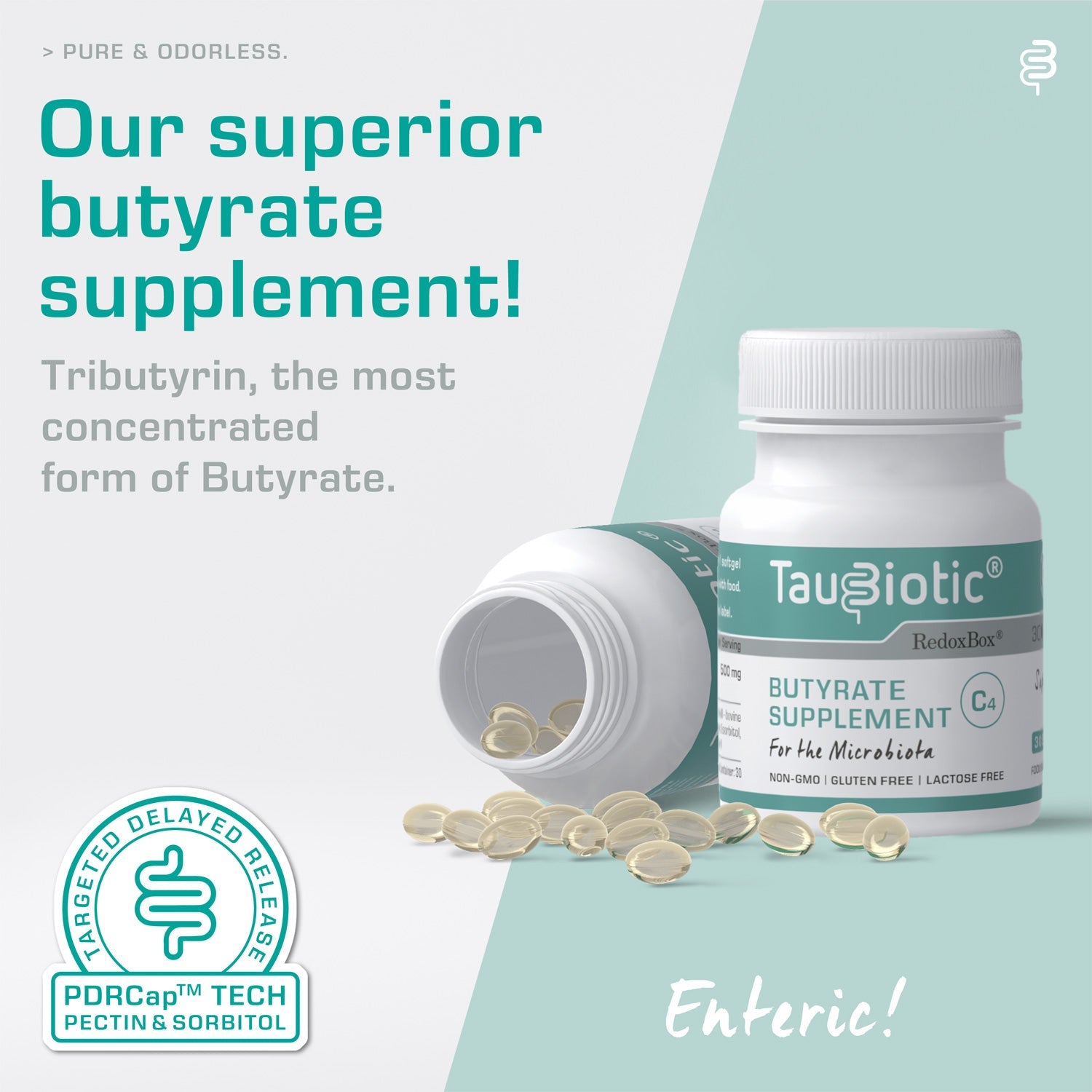 TauBiotic® butyrate triglyceride enteric softgels, 30 caps | RedoxBox