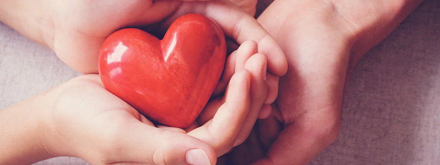 Scientific illustration of arterial plaque and gut microbiota showing the connection between gut dysbiosis and cardiovascular disease